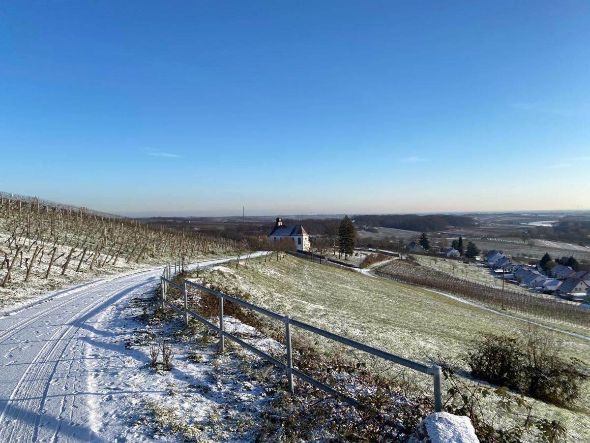 Atelier De Pfalz-Loftstyl Mit Pfalzblick Villa Gleiszellen-Gleishorbach Kültér fotó