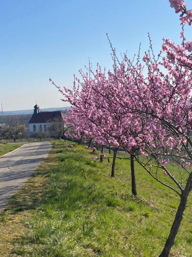 Atelier De Pfalz-Loftstyl Mit Pfalzblick Villa Gleiszellen-Gleishorbach Kültér fotó