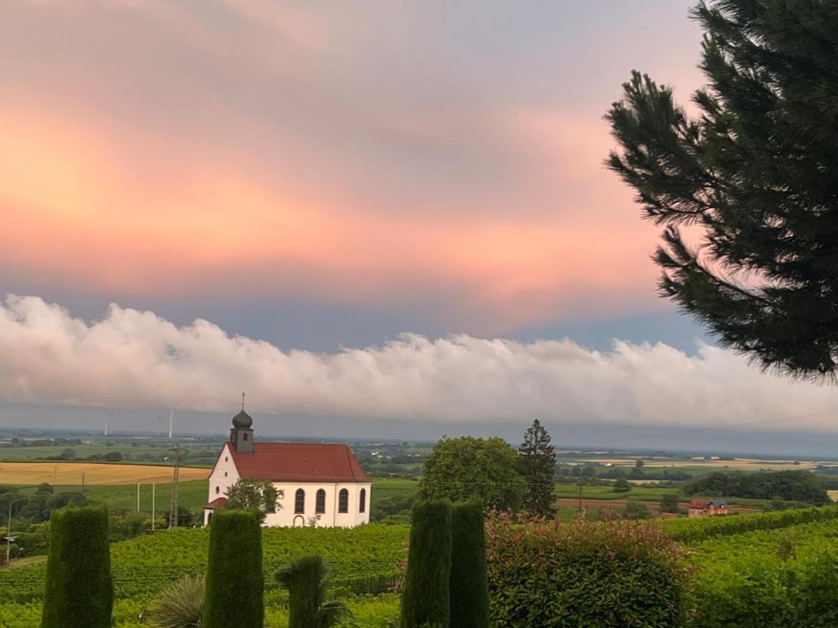 Atelier De Pfalz-Loftstyl Mit Pfalzblick Villa Gleiszellen-Gleishorbach Kültér fotó