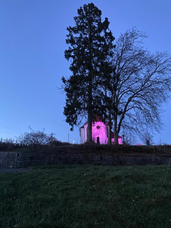 Atelier De Pfalz-Loftstyl Mit Pfalzblick Villa Gleiszellen-Gleishorbach Kültér fotó